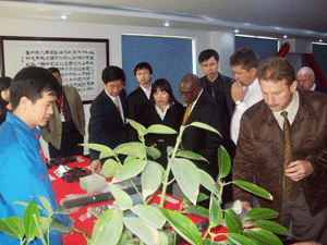 卡奇娱乐·(中国游)有限公司官网